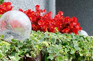 Jardinier projets