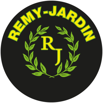 Remy Jardin